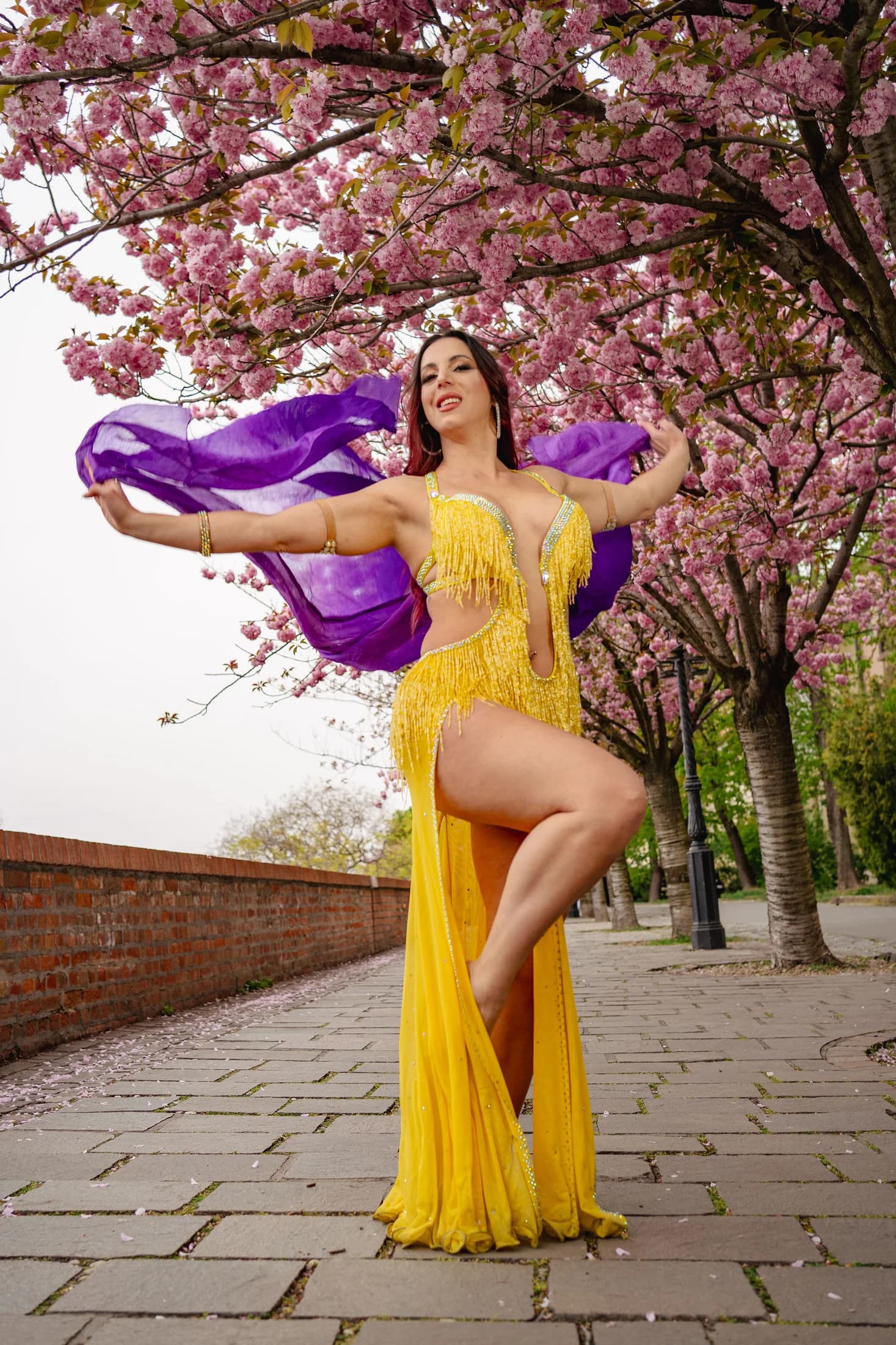 Safieh Szandra belly dance performance portrait