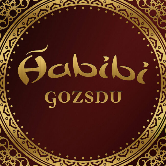 Habibi-Gozsdu